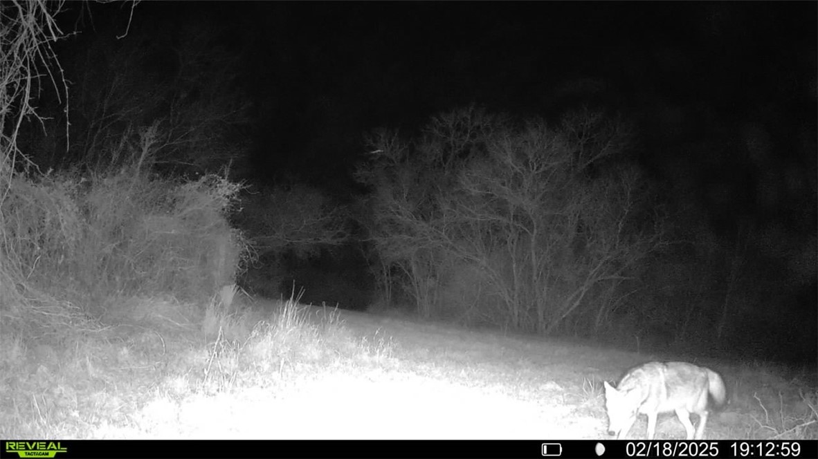 Tbd Fm 2441 Property Photo 37