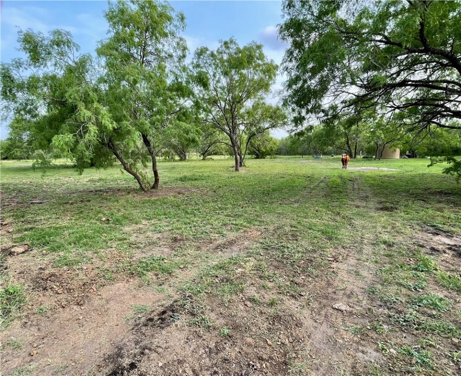 0 Nopal Dr Property Photo 4