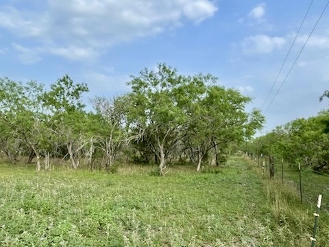 0 Nopal Dr Property Photo 5