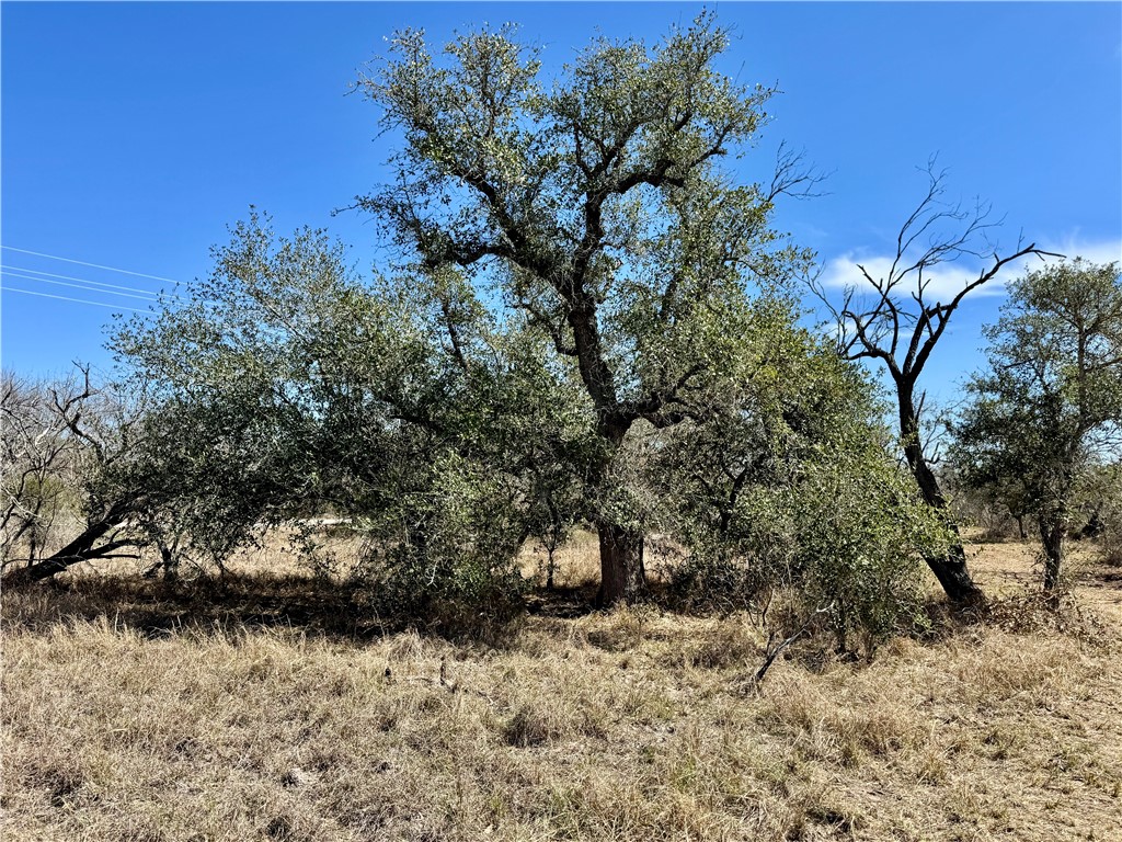 Tbd Fm 2441 Property Photo