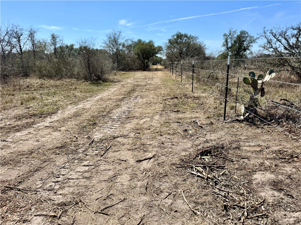 Tbd Fm 2441 Property Photo 2