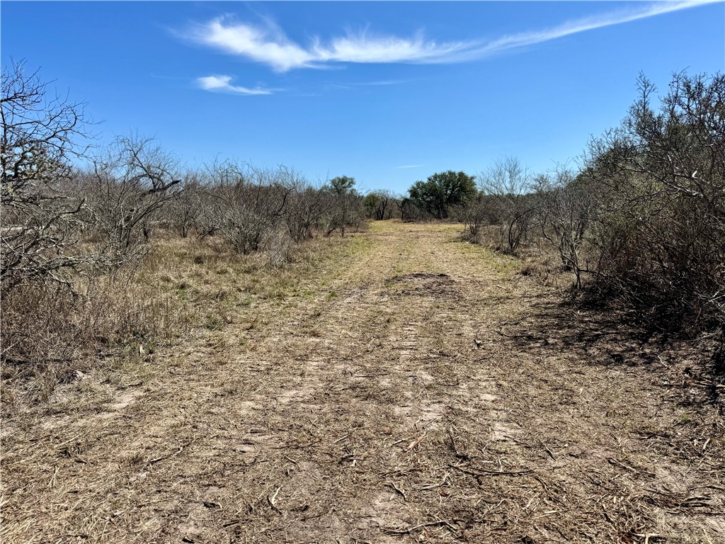Tbd Fm 2441 Property Photo 3