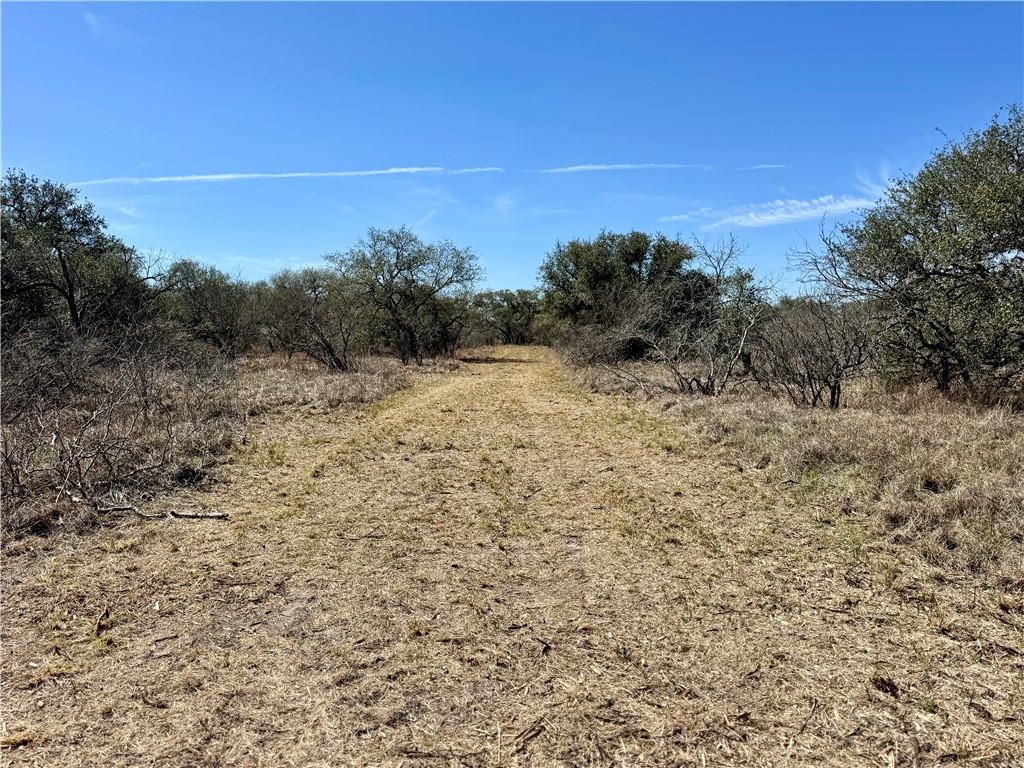 Tbd Fm 2441 Property Photo 7