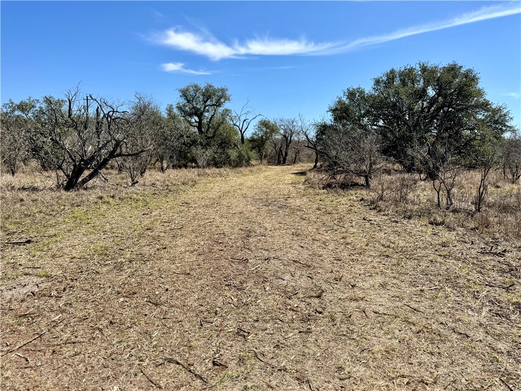 Tbd Fm 2441 Property Photo 8