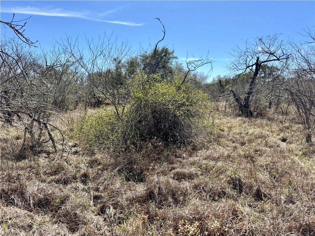 Tbd Fm 2441 Property Photo 11