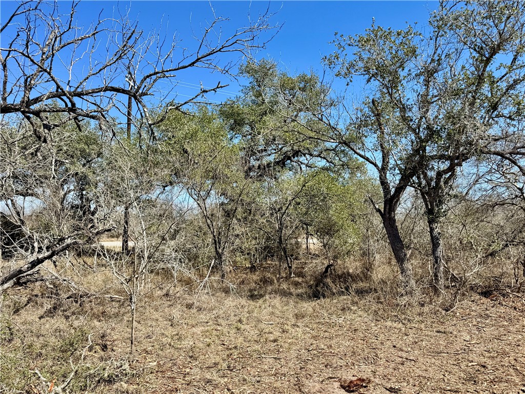Tbd Fm 2441 Property Photo 12