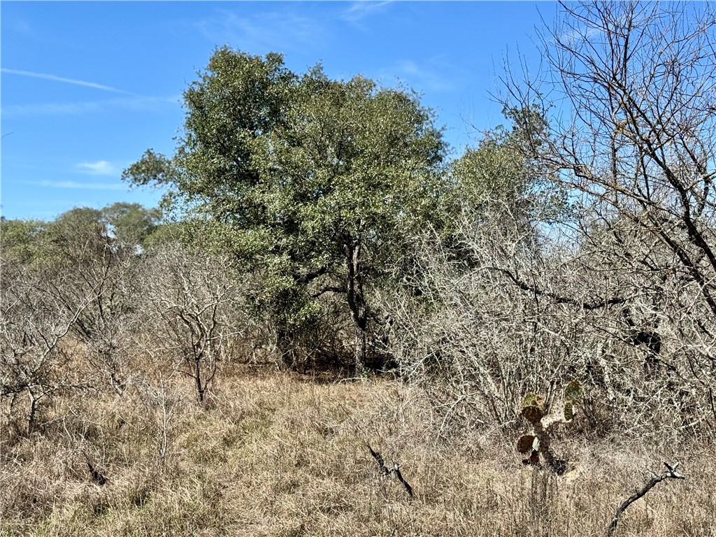 Tbd Fm 2441 Property Photo 13