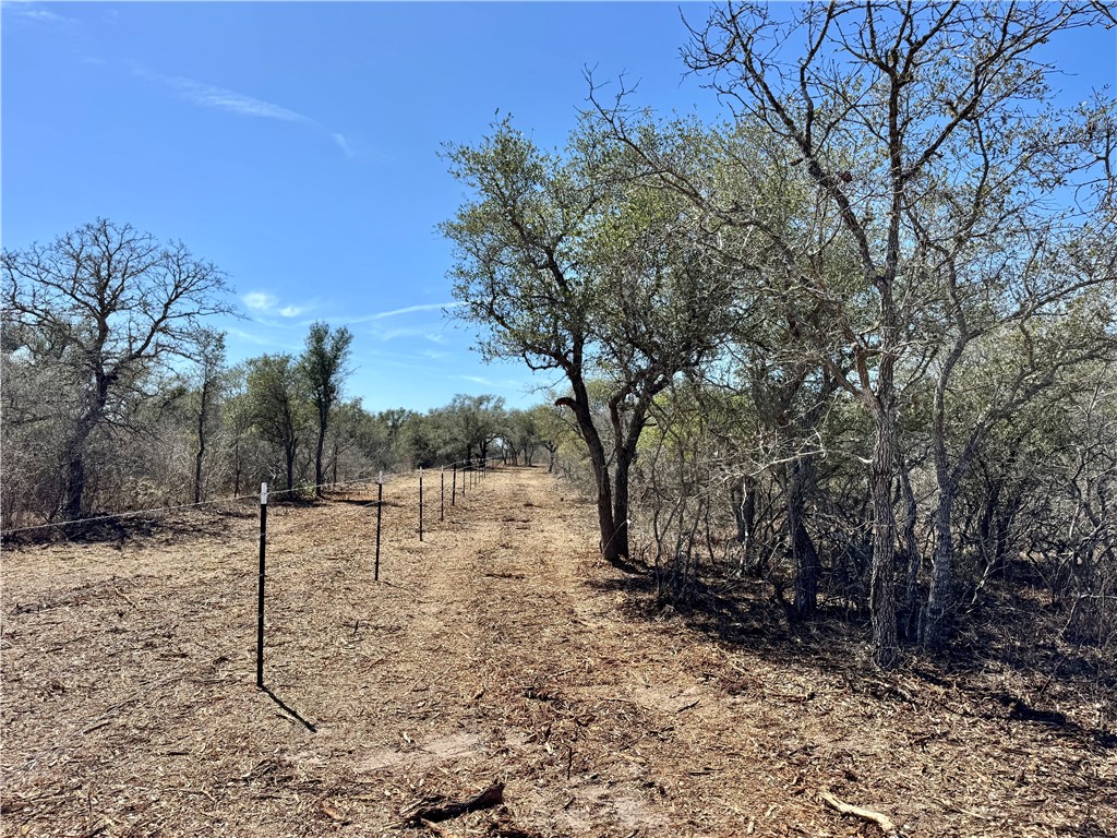 Tbd Fm 2441 Property Photo 15