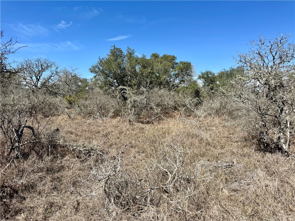Tbd Fm 2441 Property Photo 18