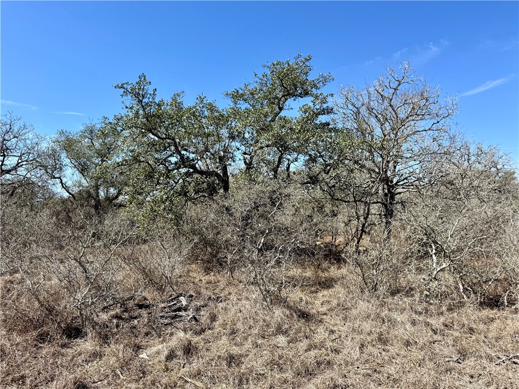 Tbd Fm 2441 Property Photo 19