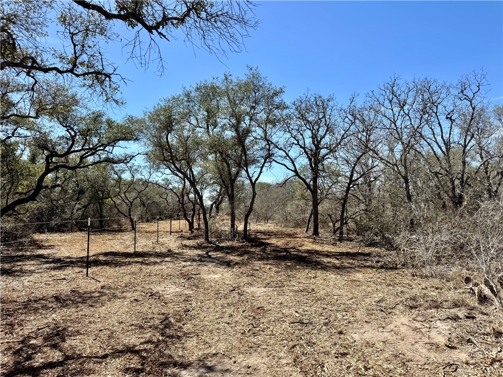 Tbd Fm 2441 Property Photo 22