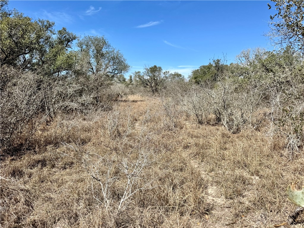 Tbd Fm 2441 Property Photo 23