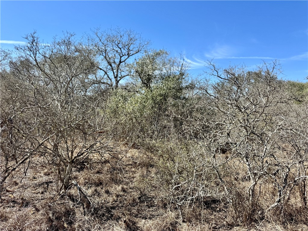 Tbd Fm 2441 Property Photo 25