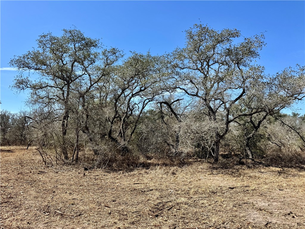 Tbd Fm 2441 Property Photo 26
