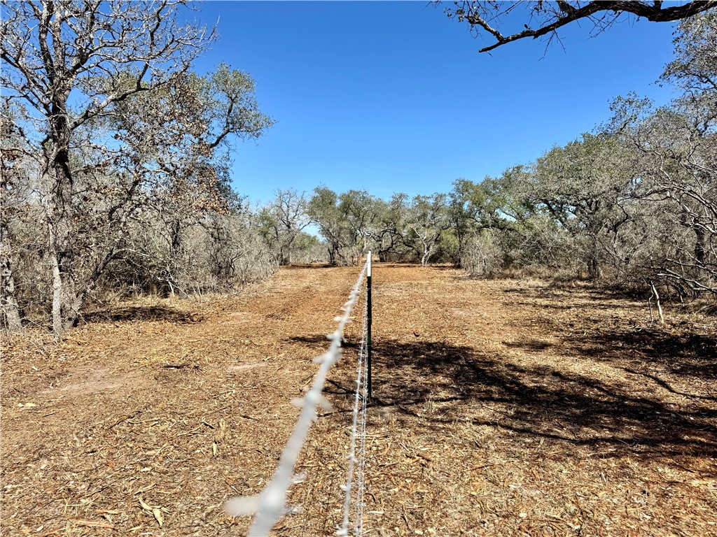 Tbd Fm 2441 Property Photo 27