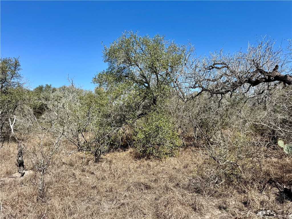 Tbd Fm 2441 Property Photo 29