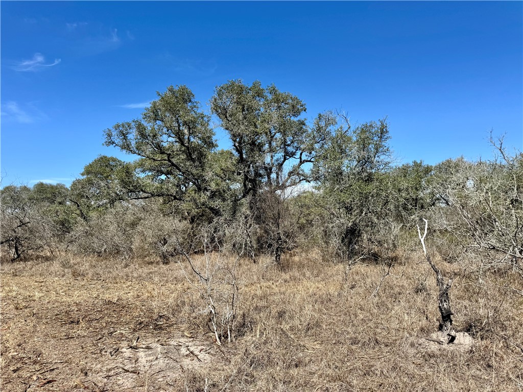 Tbd Fm 2441 Property Photo 30