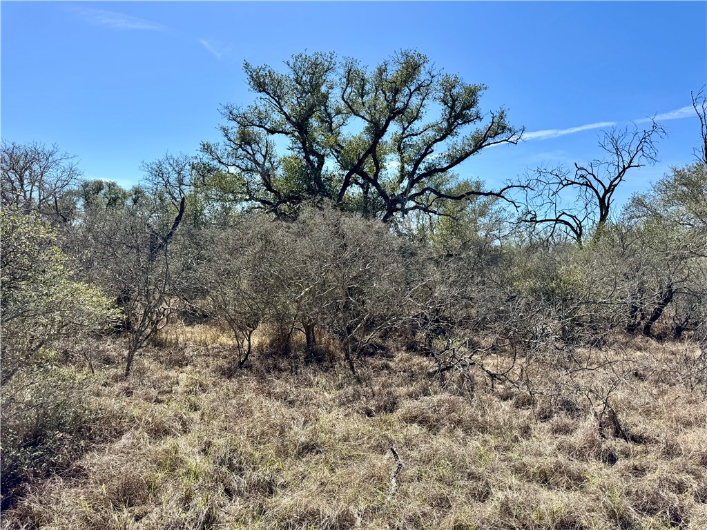 Tbd Fm 2441 Property Photo 31