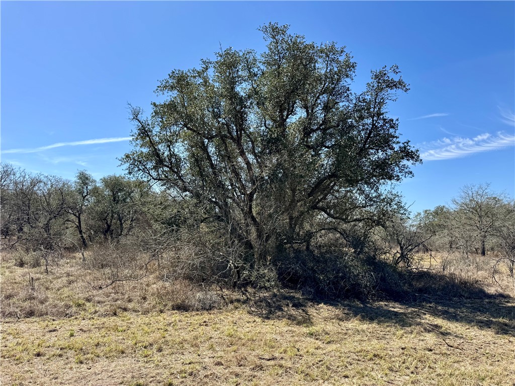 Tbd Fm 2441 Property Photo 33
