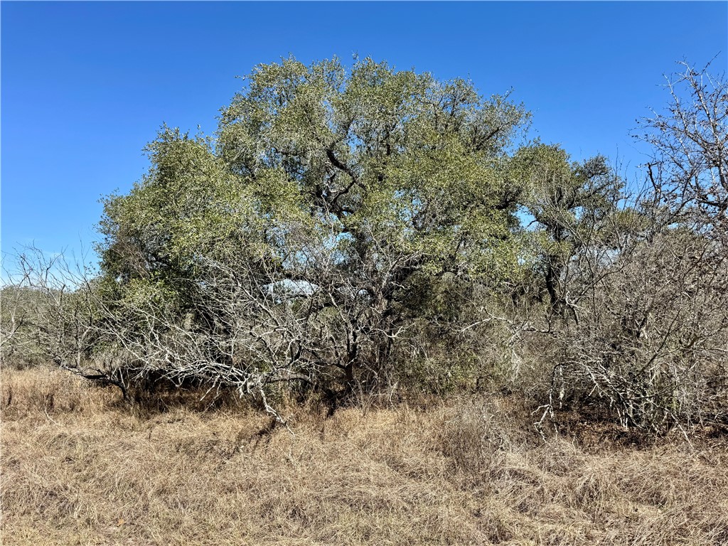 Tbd Fm 2441 Property Photo 34