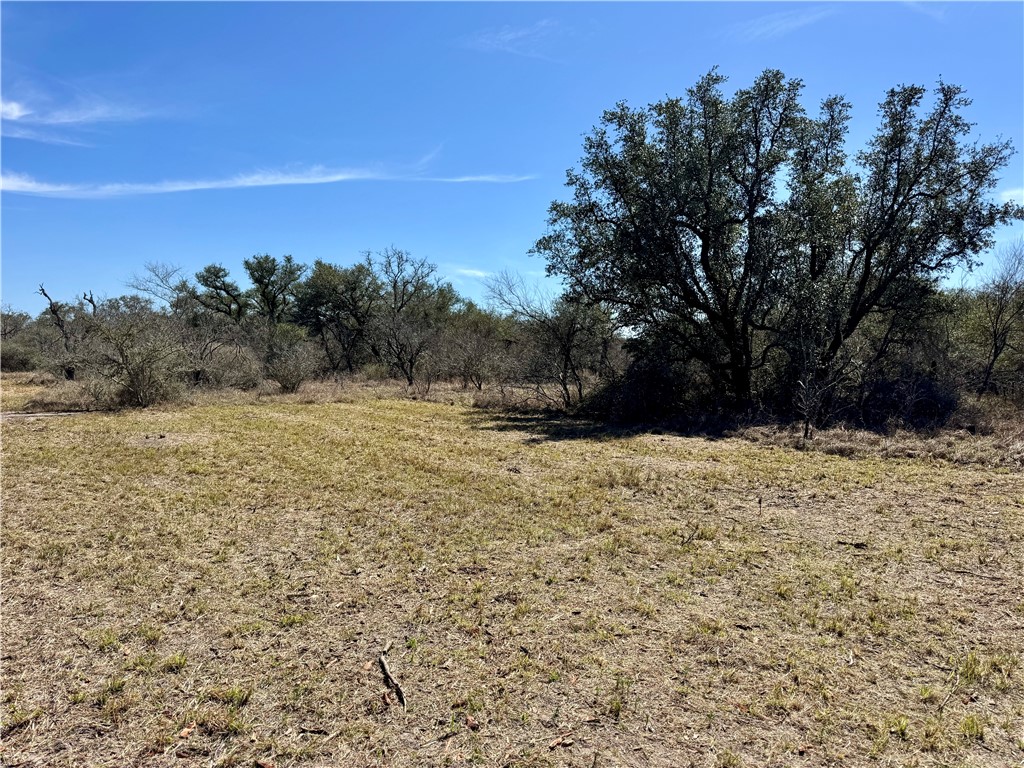 Tbd Fm 2441 Property Photo 35
