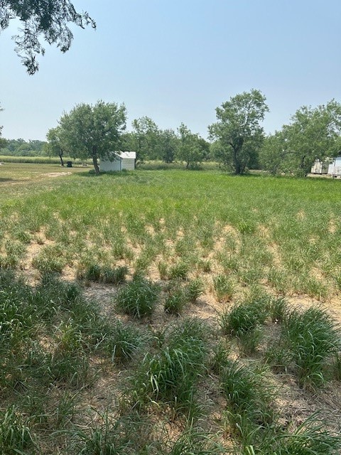 00 Guadalupe Property Photo
