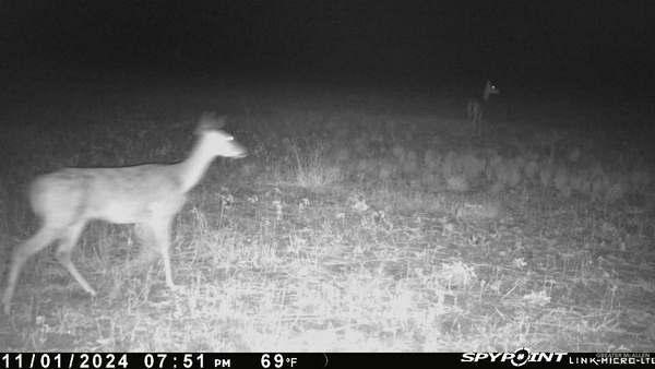 Tbd Brushline Property Photo 2
