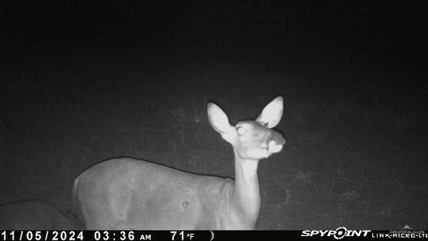 Tbd Brushline Property Photo 4