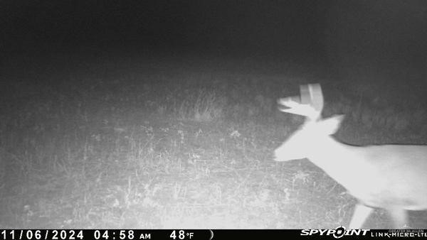 Tbd Brushline Property Photo 5