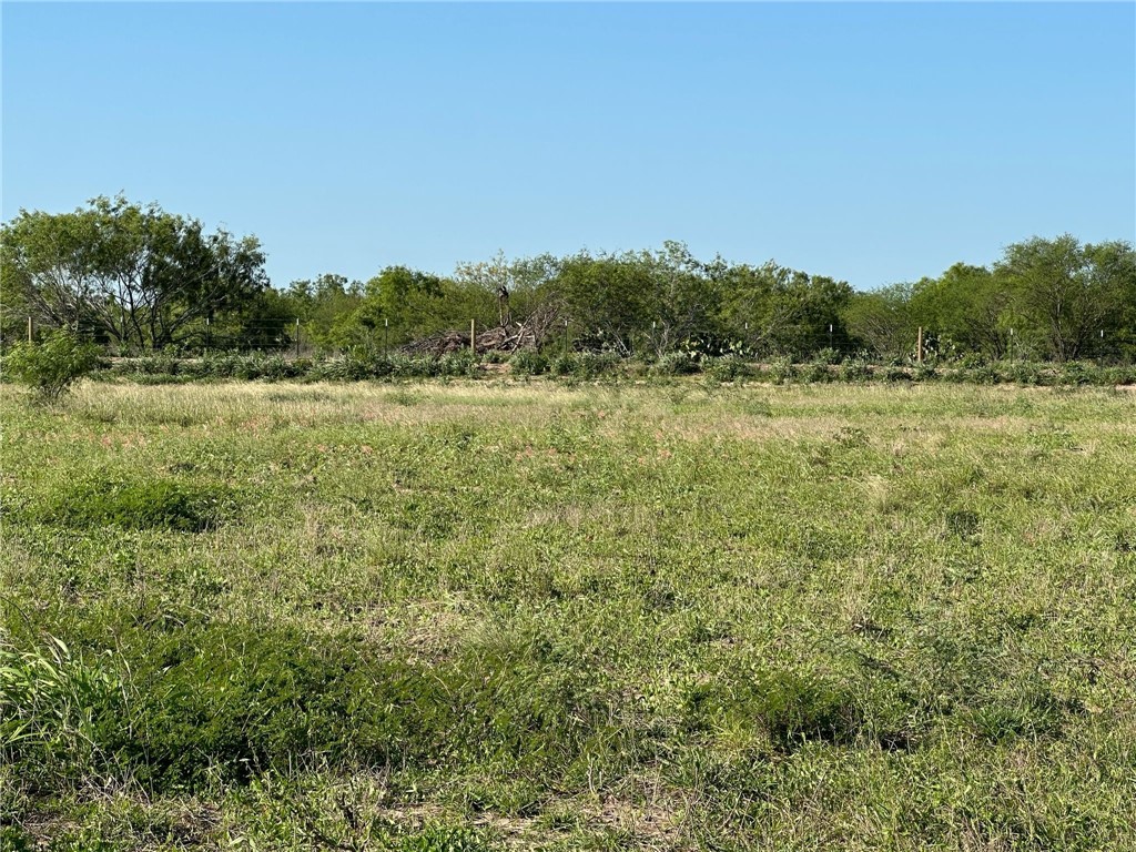 Tbd Brushline Property Photo 7