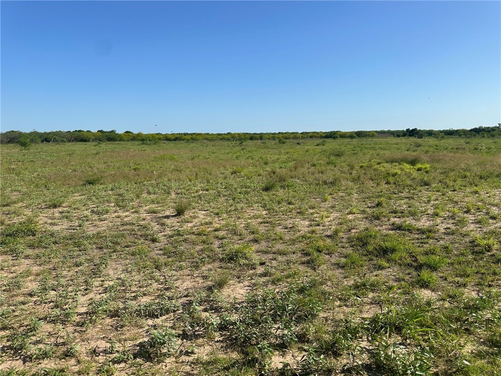 Tbd Brushline Property Photo 9
