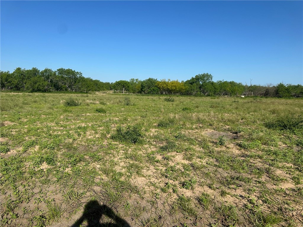 Tbd Brushline Property Photo 10