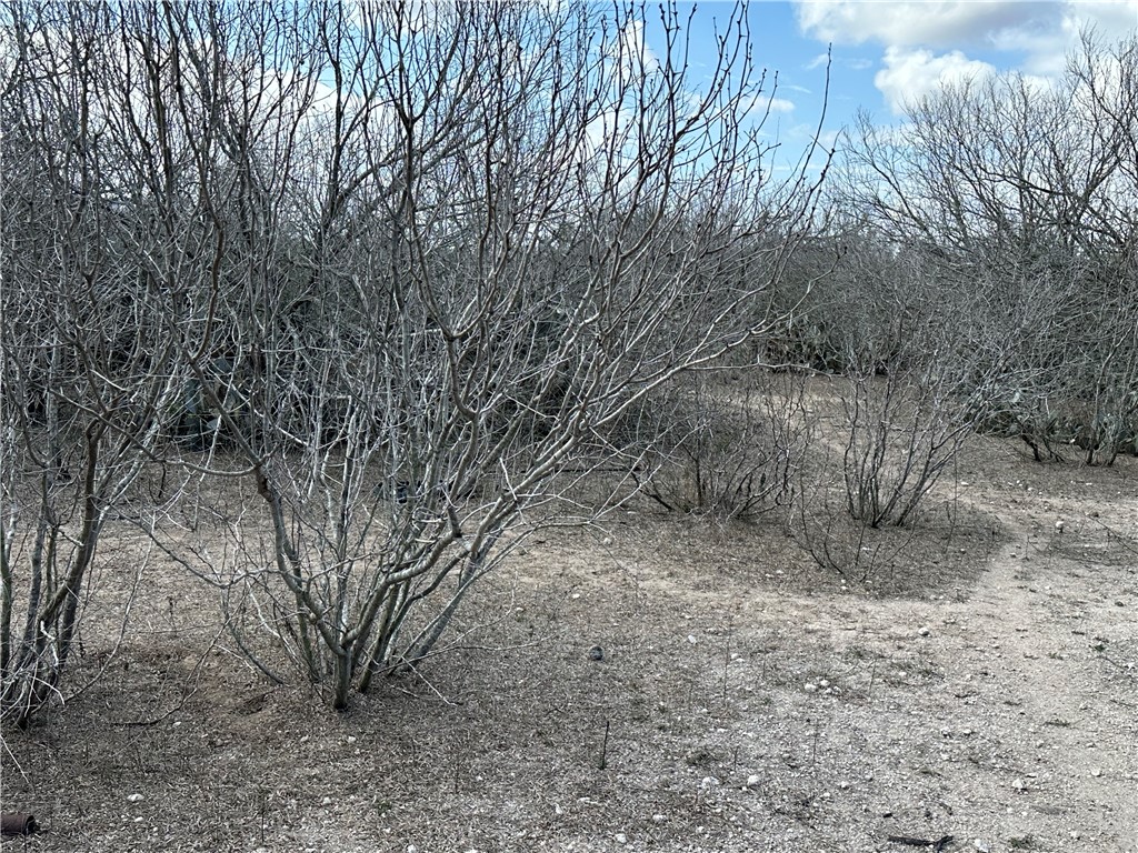 5923 And 5929 Sweet Water Road Property Photo 4