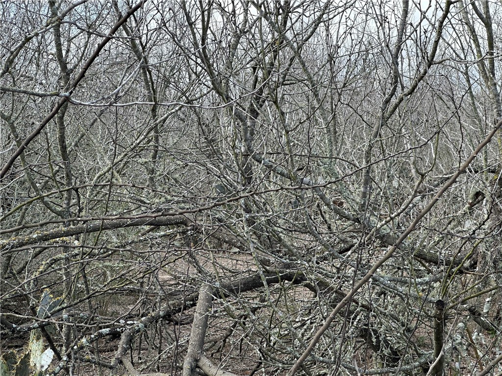 5923 And 5929 Sweet Water Road Property Photo 5