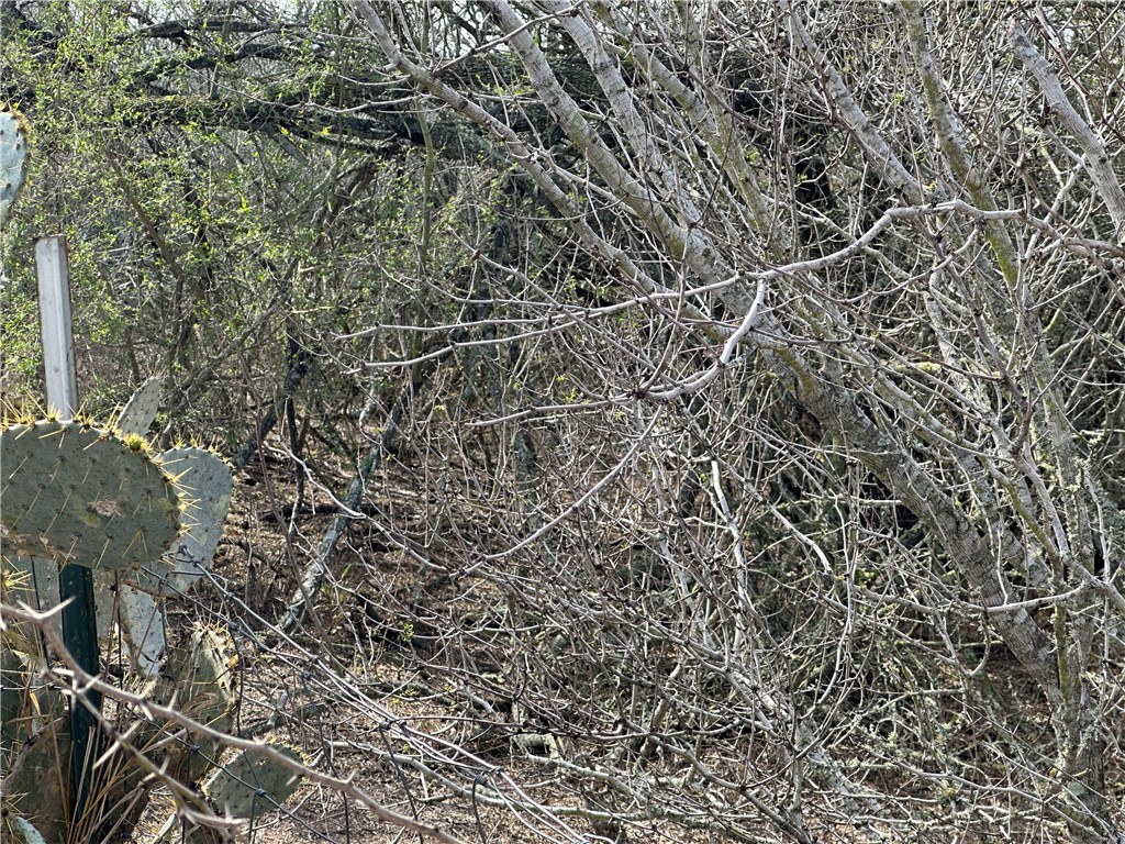 5923 And 5929 Sweet Water Road Property Photo 6