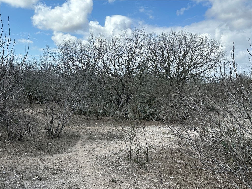5923 And 5929 Sweet Water Road Property Photo 8