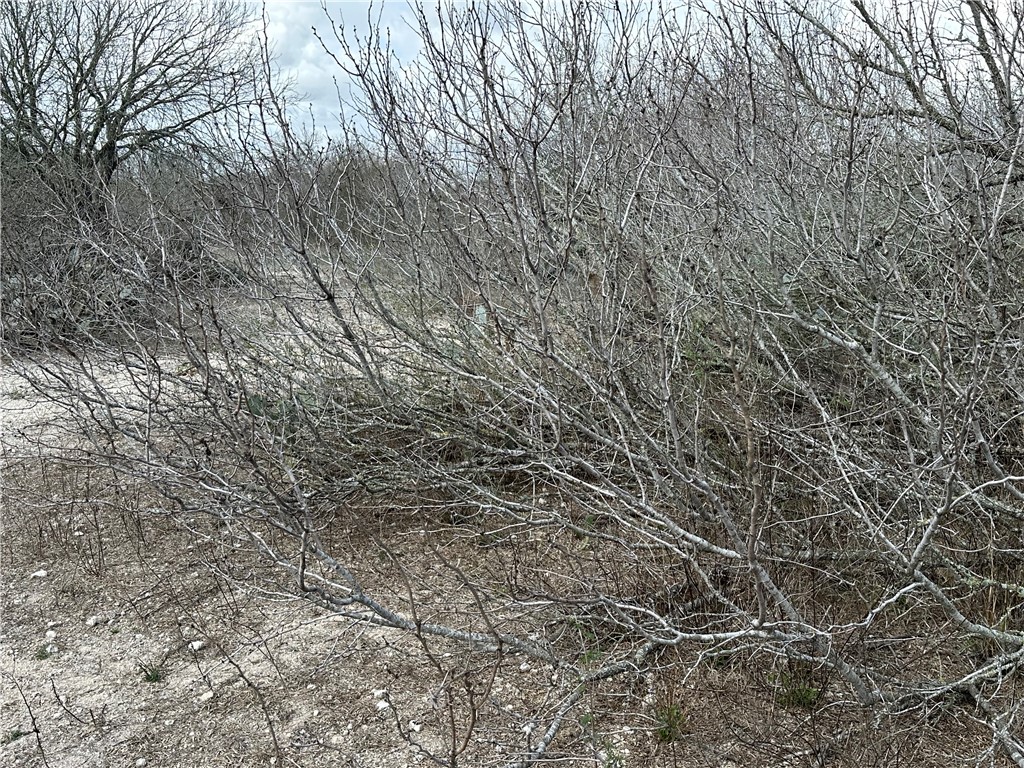5923 And 5929 Sweet Water Road Property Photo 9