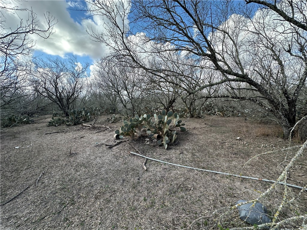 5923 And 5929 Sweet Water Road Property Photo 13