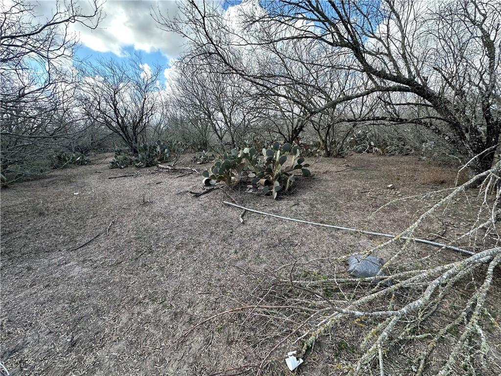 5923 And 5929 Sweet Water Road Property Photo 14