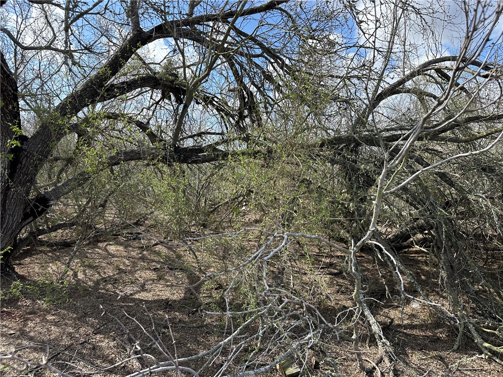 5923 And 5929 Sweet Water Road Property Photo 16
