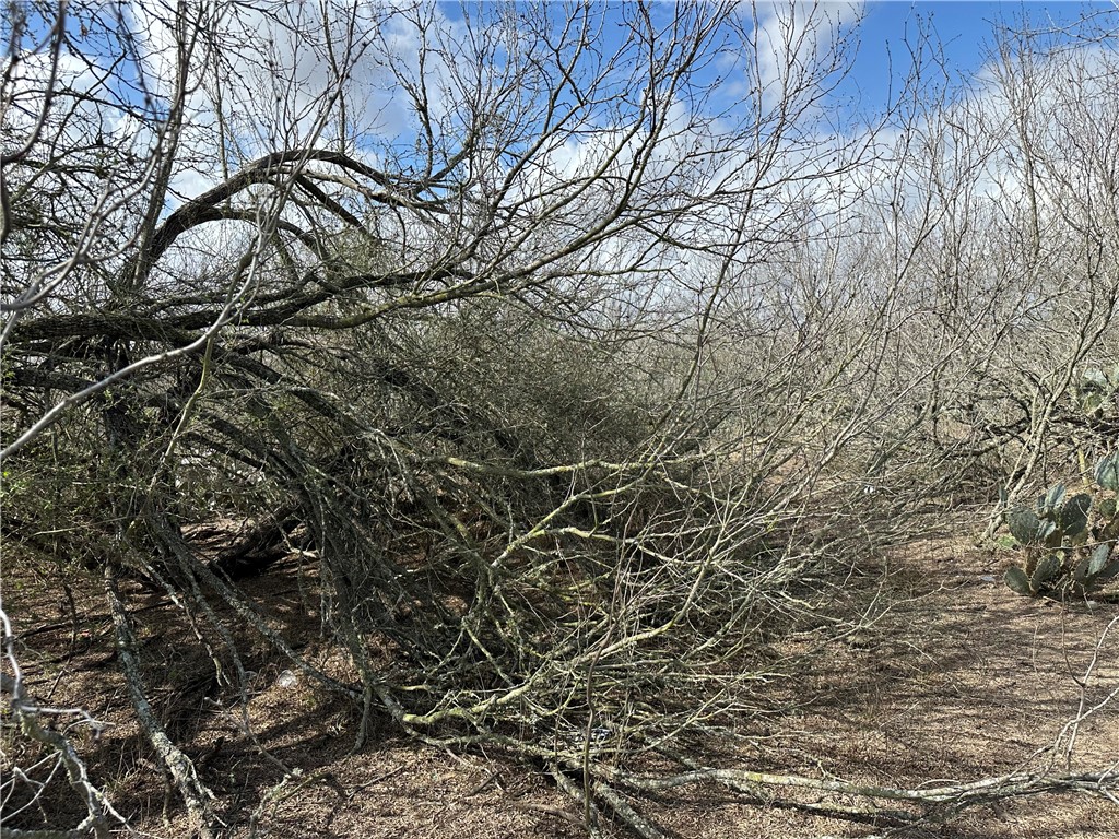 5923 And 5929 Sweet Water Road Property Photo 17