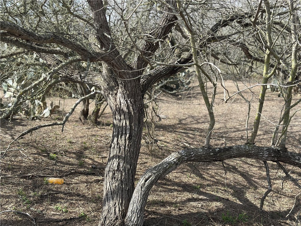 5923 And 5929 Sweet Water Road Property Photo 18