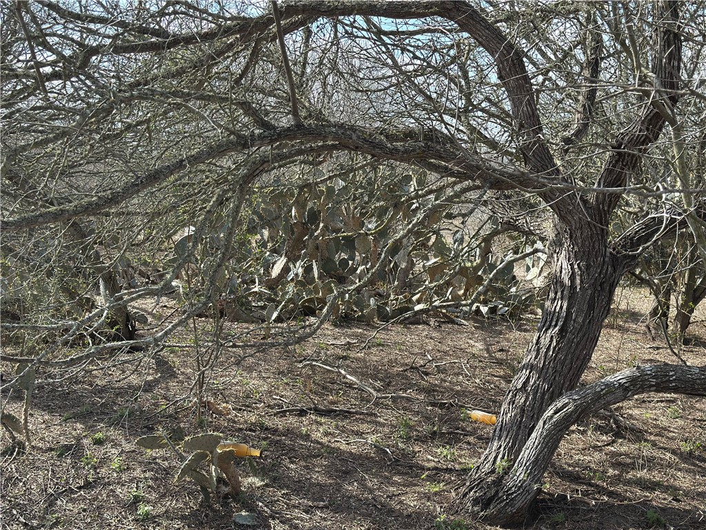 5923 And 5929 Sweet Water Road Property Photo 19
