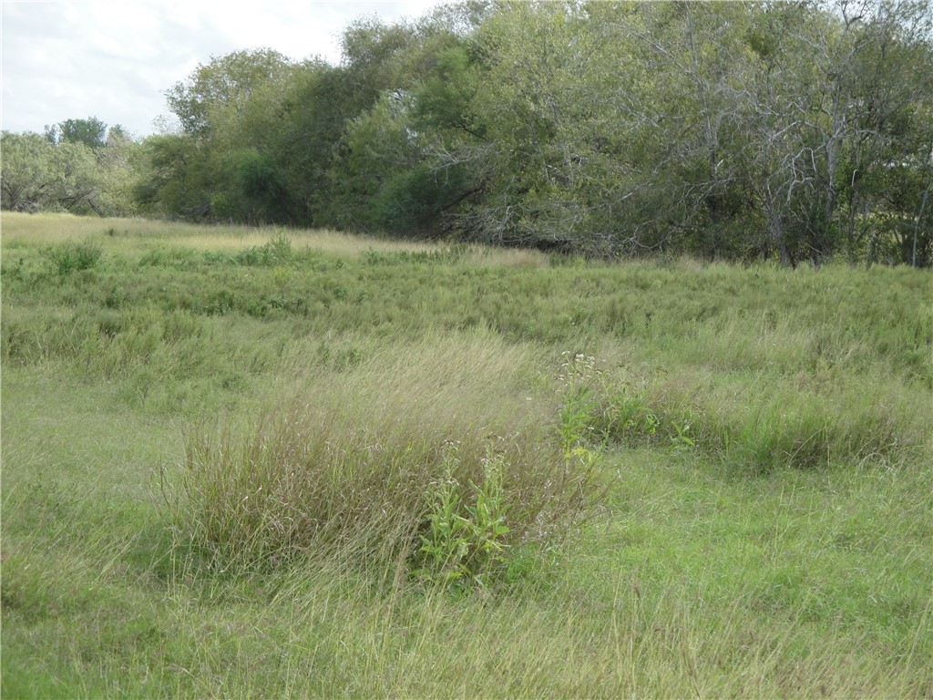 Tbd Vogelsang Lane Property Photo 5