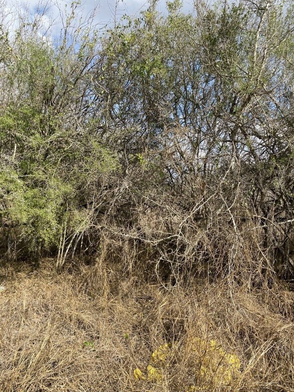 N/a Cr 151 (e Of Cr 111) Property Photo 8