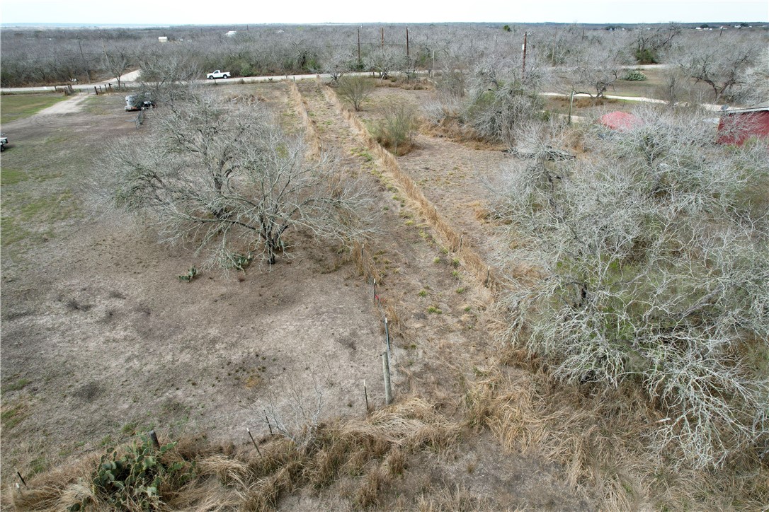 10722 County Road 249 Property Photo 12