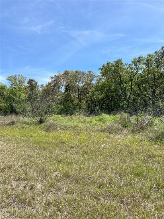 1260 Fm 3036 Property Photo 11