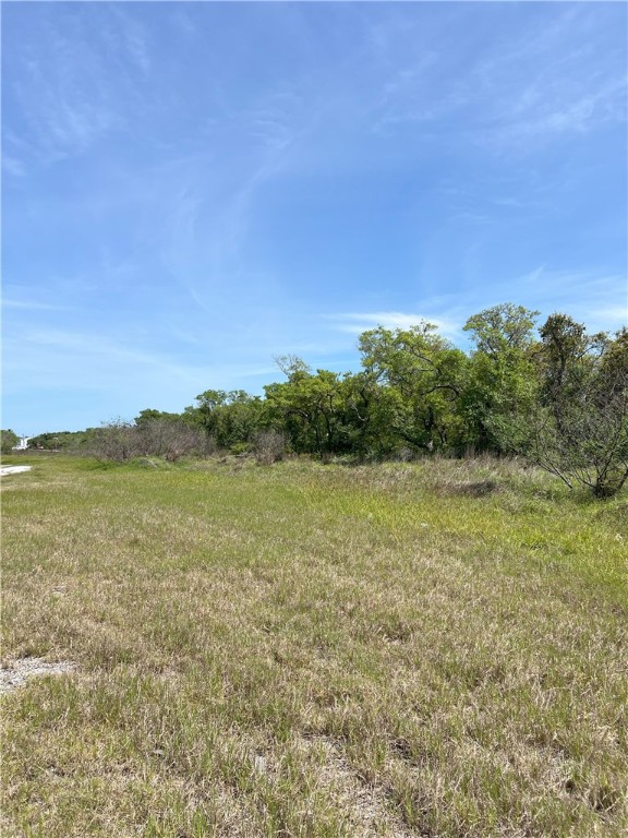 1260 Fm 3036 Property Photo 13