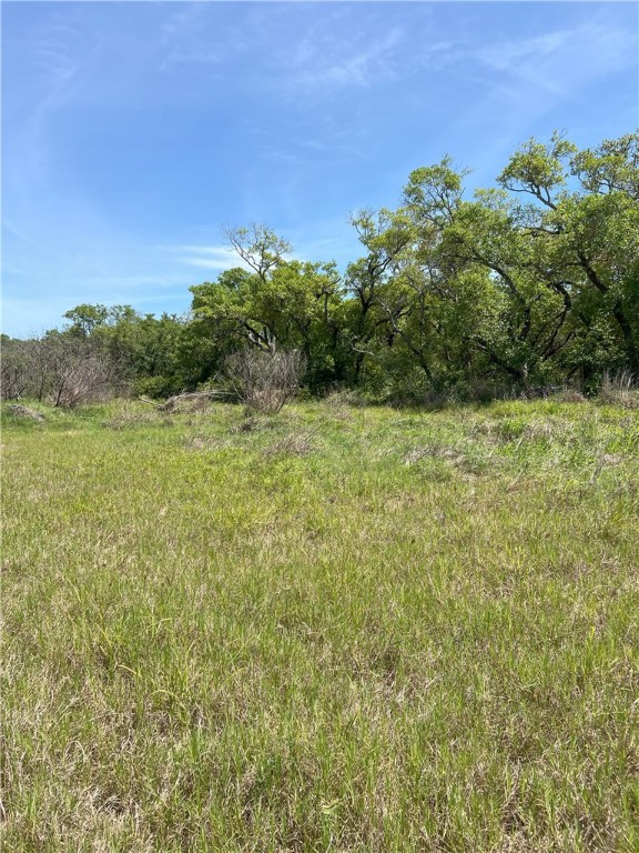 1260 Fm 3036 Property Photo 14