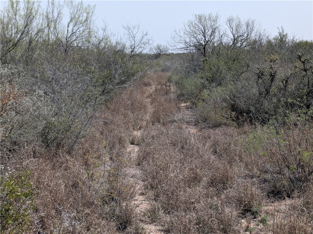 0 0 Property Photo 2